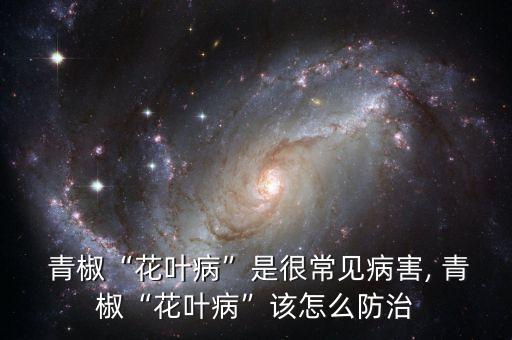 青椒噴什么農藥防蟲害好,青椒爛葉用什么農藥