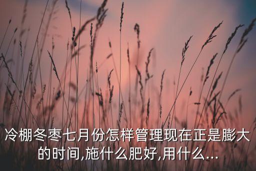 冬棗樹什么時候打農(nóng)藥