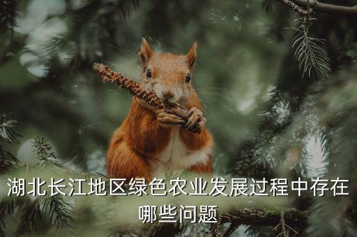 湖北長江地區綠色農業發展過程中存在哪些問題