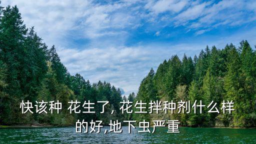 快該種 花生了, 花生拌種劑什么樣的好,地下蟲嚴重