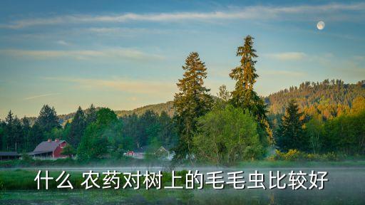 農村用什么噴農藥殺蟲好,打殺蟲農藥什么時間打效果好