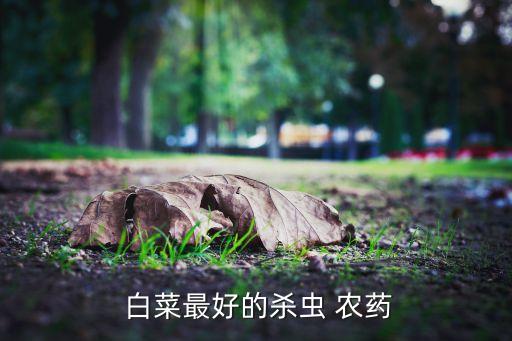  白菜最好的殺蟲 農藥