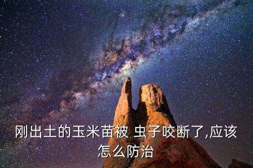 毒辛農藥治什么蟲子,什么農藥最毒最快死人
