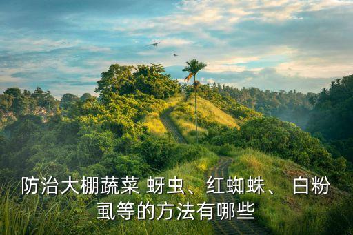 蚜蟲(chóng)白粉虱用什么農(nóng)藥殺死,不用農(nóng)藥殺死白粉虱