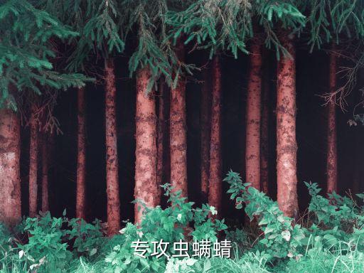 農(nóng)藥蟲螨腈主治什么,甲維蟲螨腈是有機(jī)磷農(nóng)藥嗎
