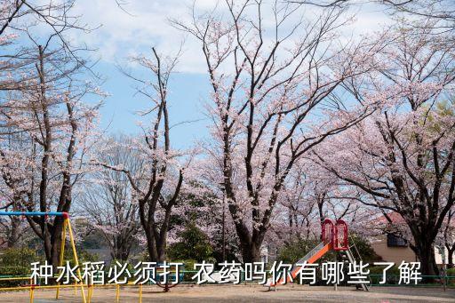 種早稻打什么農(nóng)藥最好使,種什么不需要打農(nóng)藥