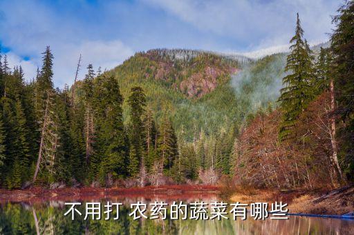 什么菜農藥少更新鮮,菜蟲用什么農藥殺比較好?