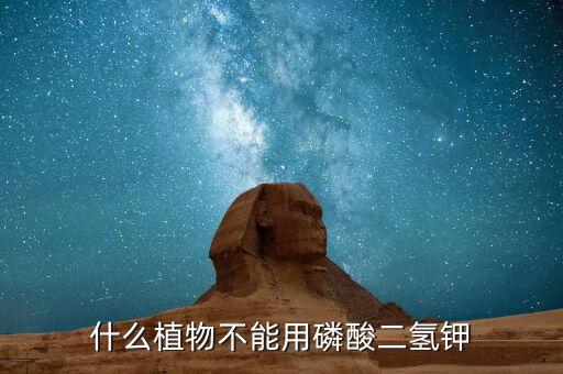 烤煙僵苗用什么農藥好,烤煙不黃打什么農藥