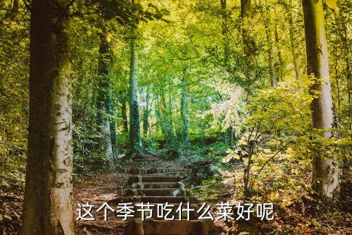 這個季節吃什么菜好呢