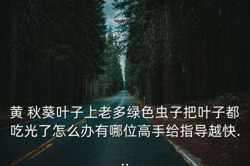 秋葵禁用什么農藥,秋葵打什么農藥