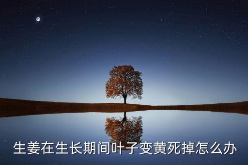 生姜的苗黃了打什么農藥