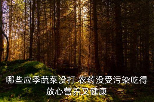 什么菜不打農藥長得好,給菜打什么農藥