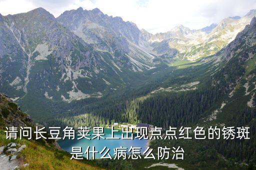 請問長豆角莢果上出現點點紅色的銹斑是什么病怎么防治