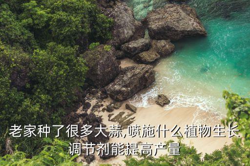 蒜種拌什么農(nóng)藥,泡蒜種用什么農(nóng)藥好