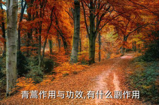 青蒿藥是什么農藥,青蒿保健液是什么藥