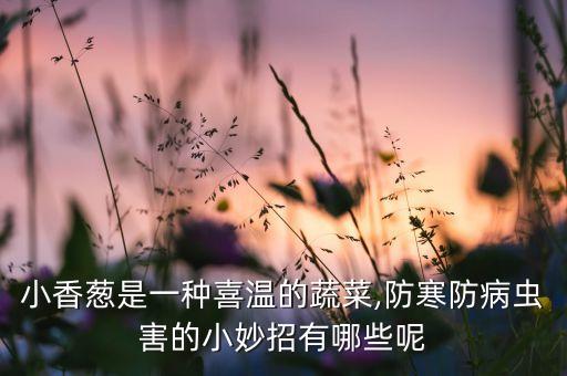 種小蔥放什么農藥防蟲,小蔥一般打什么農藥