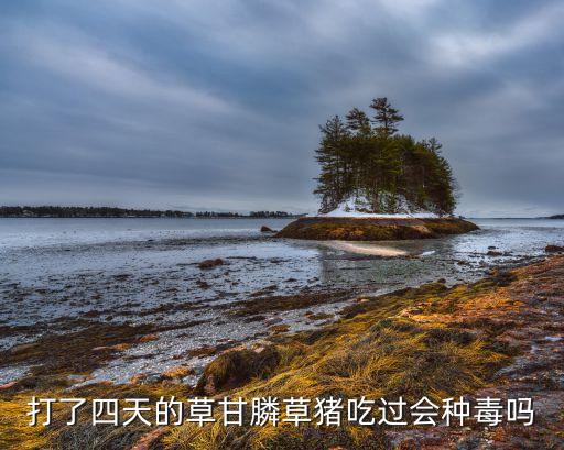 豬吃過農藥會是什么反應,貓咪吃到農藥是什么癥狀