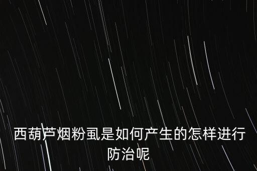  西葫蘆煙粉虱是如何產生的怎樣進行防治呢