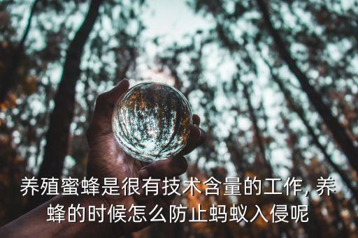 養殖蜜蜂是很有技術含量的工作, 養蜂的時候怎么防止螞蟻入侵呢