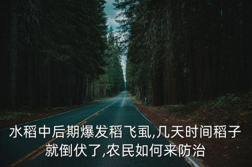 水稻中后期爆發(fā)稻飛虱,幾天時(shí)間稻子就倒伏了,農(nóng)民如何來(lái)防治