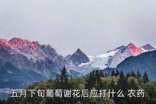 五月下旬葡萄謝花后應(yīng)打什么 農(nóng)藥