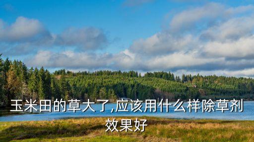 玉米田的草大了,應該用什么樣除草劑效果好