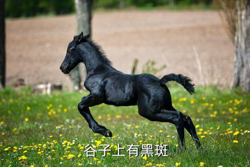  谷子上有黑斑