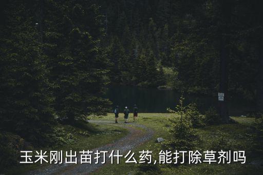  玉米剛出苗打什么藥,能打除草劑嗎