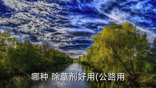 什么農藥除草最好,苗圃除草用什么農藥
