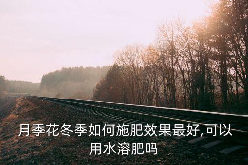  月季花冬季如何施肥效果最好,可以用水溶肥嗎