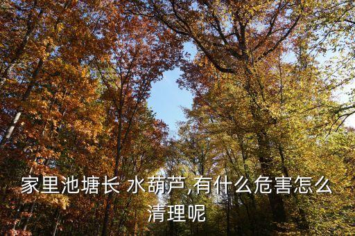 家里池塘長 水葫蘆,有什么危害怎么清理呢