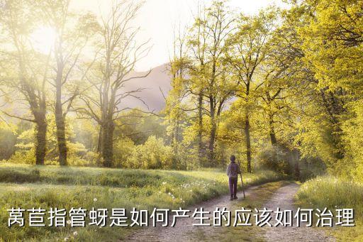 萵筍蟲咬用什么農藥,萵筍打什么農藥最好