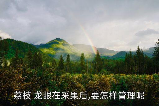 什么農藥使龍眼樹復活,龍眼樹噴什么農藥