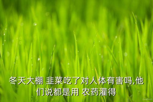 冬天大棚 韭菜吃了對人體有害嗎,他們說都是用 農藥灌得