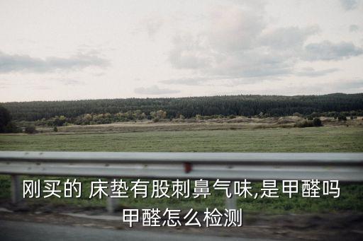 為什么床墊子有農(nóng)藥味呢,床墊子為什么比床還貴