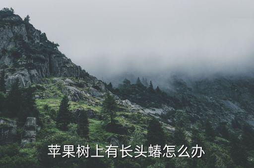 綠芒蝽用什么農藥防治,綠盲蝽防治最佳農藥