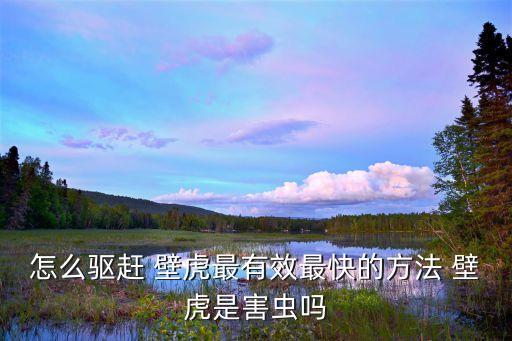 怎么驅趕 壁虎最有效最快的方法 壁虎是害蟲嗎