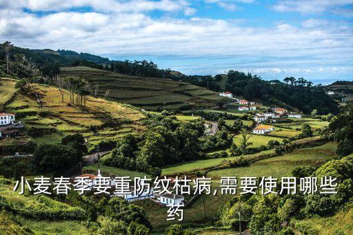 小麥春季要重防紋枯病,需要使用哪些藥