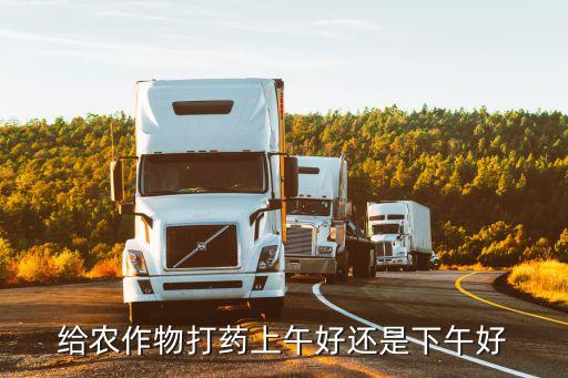 農藥在什么時候噴灑,噴灑紅蜘蛛的農藥什么時候最好