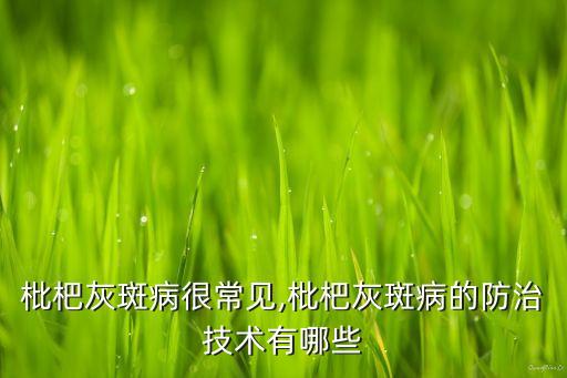 灰葉斑用什么農藥治,治番茄灰葉斑的特效農藥