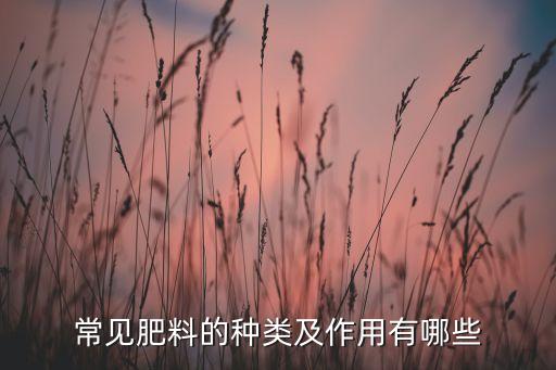 常見肥料的種類及作用有哪些