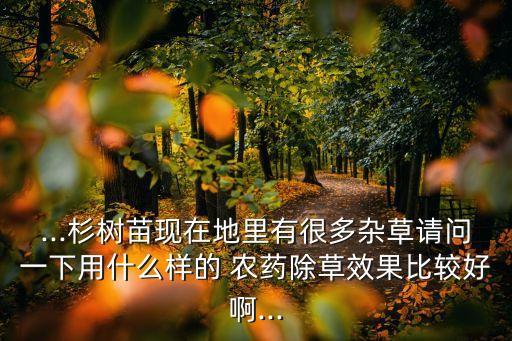 栽樹用什么農藥,門前栽樹有什么說法呢?