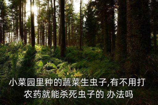 沒有農藥用什么辦法解決,對農藥過敏有什么好辦法嗎?