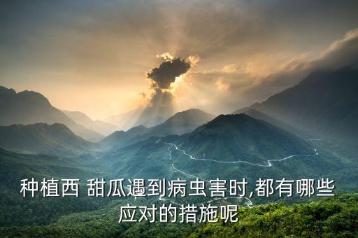 種植西 甜瓜遇到病蟲害時,都有哪些應對的措施呢