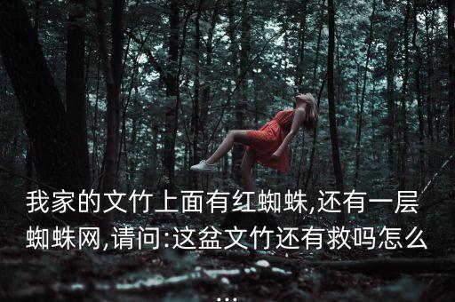 蜘蛛網用什么農藥,家里結蜘蛛網有什么說法