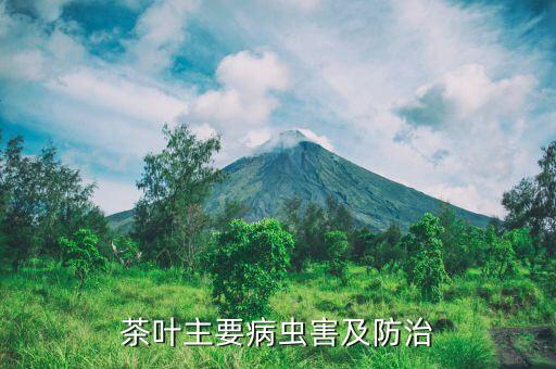 巴丹農藥治什么蟲,巴丹打什么蟲