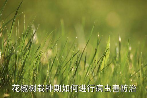 花椒樹上應該噴什么農藥,在花椒樹上的蟲叫什么