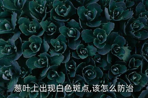 蔥葉上出現白色斑點,該怎么防治