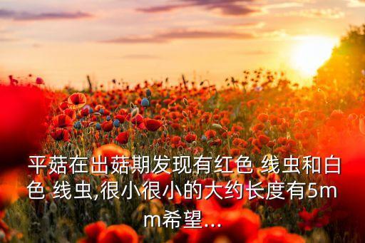 平菇有線蟲用什么農藥,平菇線蟲打什么農藥