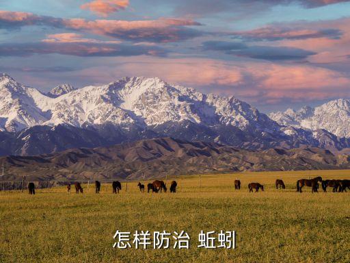 什么殺蟲劑不傷害蚯蚓,什么農(nóng)藥對蚯蚓的沒傷害
